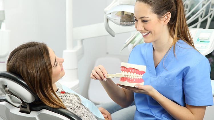A dentist shows a happy women how to brush with a mouth model.