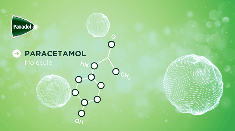 Paracetamol Molecule