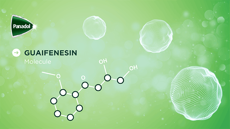 Guaifenesin Molecule