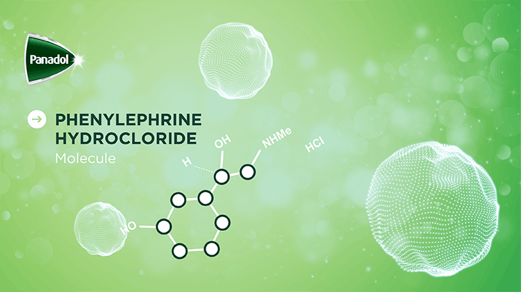 Phenylephrine Molecule