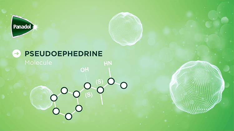 Pseudoephedrine Molecule