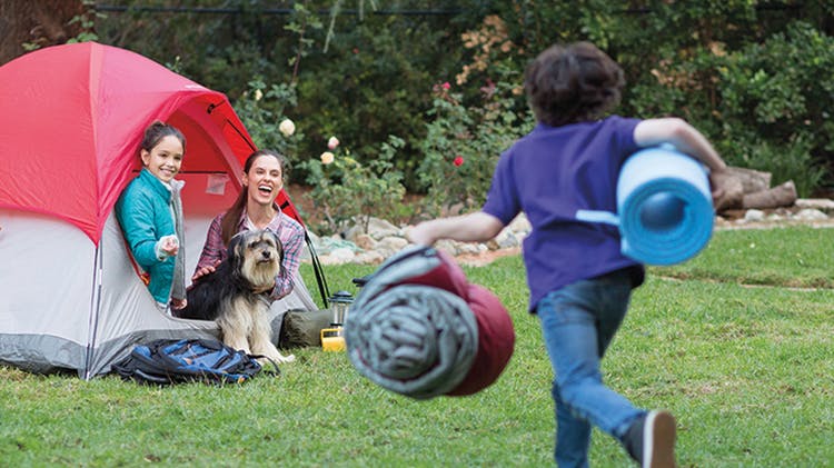 Family and dog on a camping trip