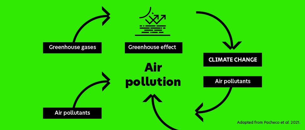 Diagram showing an air pollution cycle: greenhouse gases and air pollution  contribute to the greenhouse effect which impacts climate change, which in turn  causes more air pollution