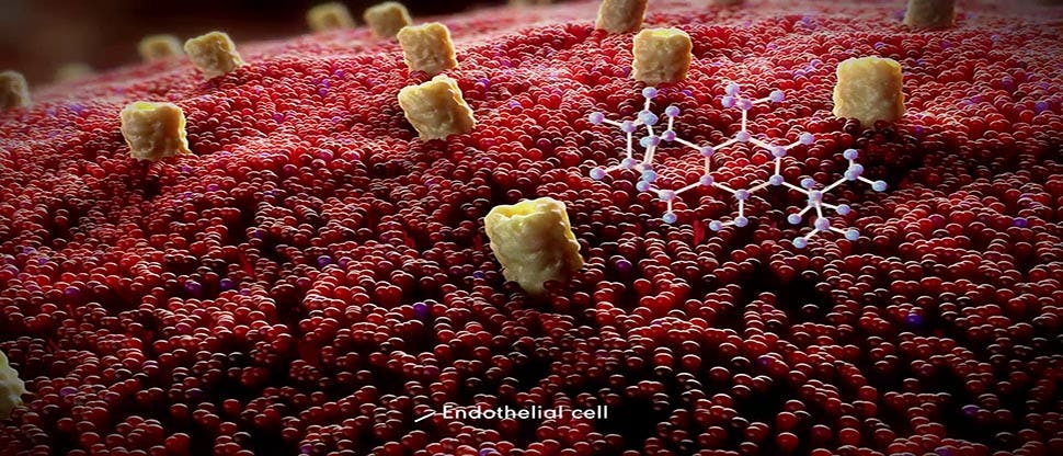 Xylometazoline-hydrochlorides