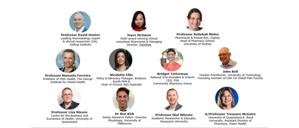 Images of pain experts David Hunter, Joyce McSwan, Rebekah Moles, Manuela Ferreira, Nicolette Ellis, Bridget Totterman, John Bell, Lisa Nissen, Ben Kirk, Nial Wheate, Treasure McGuire