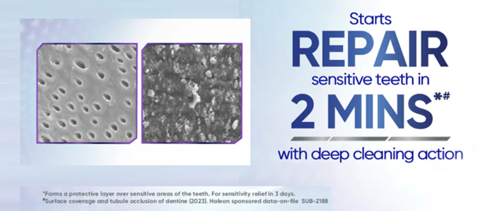 Image under a microscope of dentine tubules 