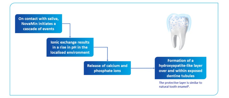 Flowchart explaining toothpaste effect