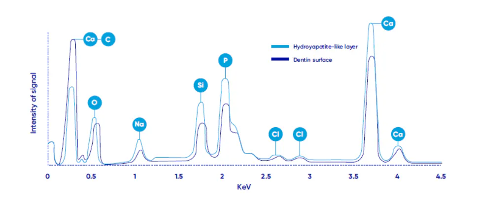 X-ray plots of dentin graph