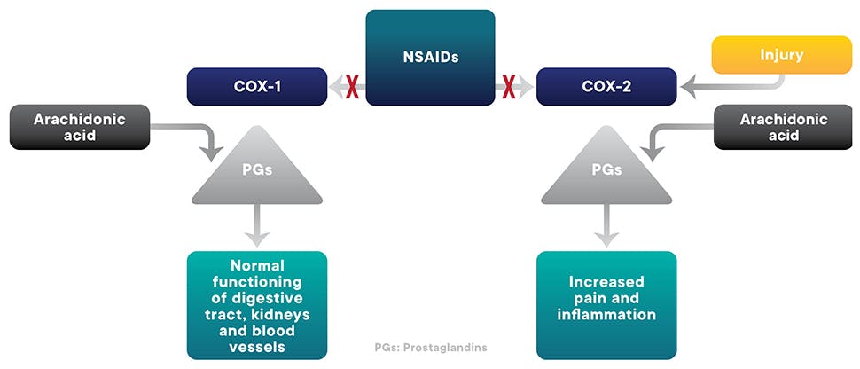 Ibuprofen Mechanism of Action (MOA)