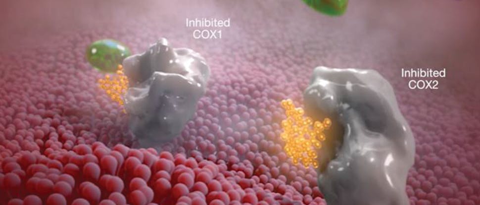 Diclofenac inhibits COX receptors