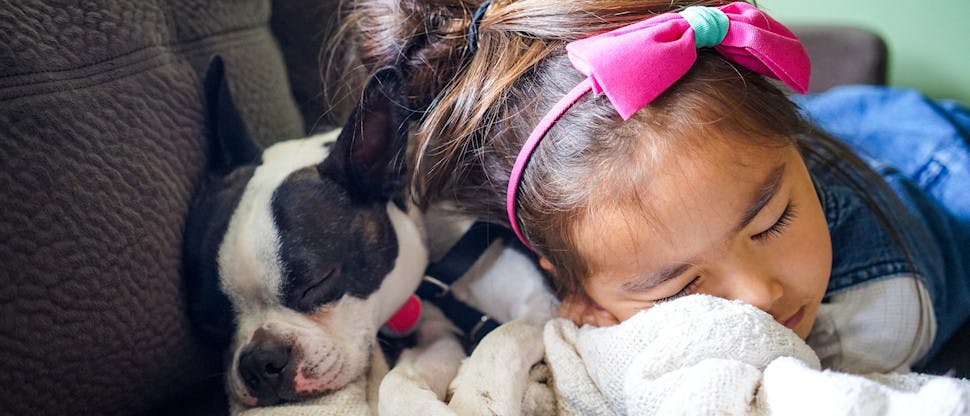 Young girl cuddling her pet dog on a sofa