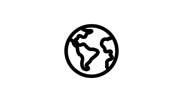 Globe icon