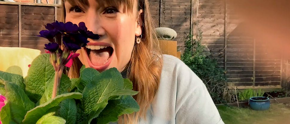 Video of woman arranging flowers