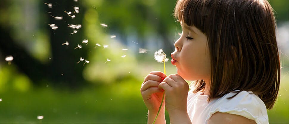 young girl blowing on dandelion in garden