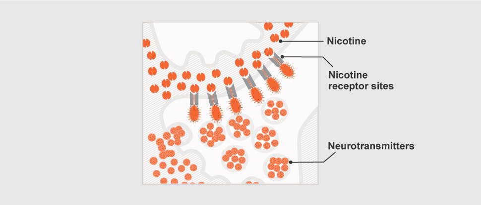 Nicotine addiction