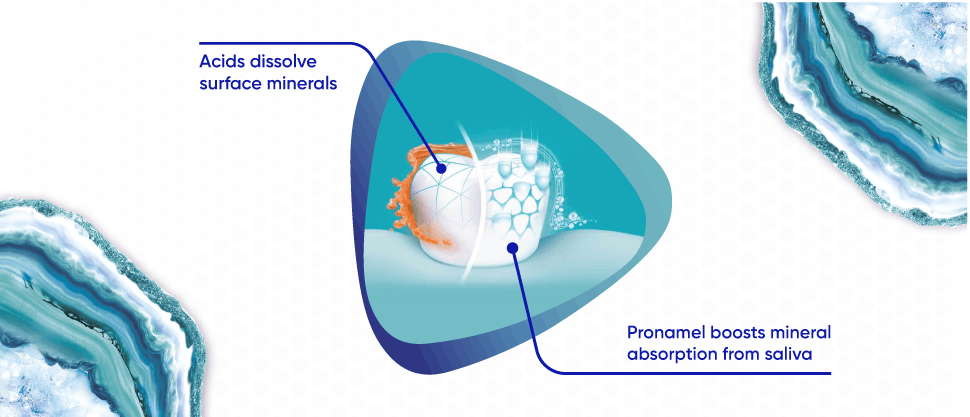 Image showing how Pronamel boosts mineral absorption from saliva