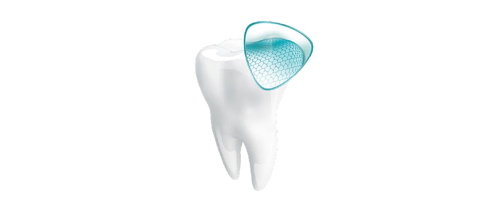 Zoomed-in diagram of tooth components