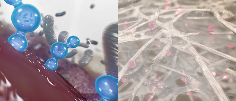 Sodium bicarbonate and chlorhexidine digluconate action