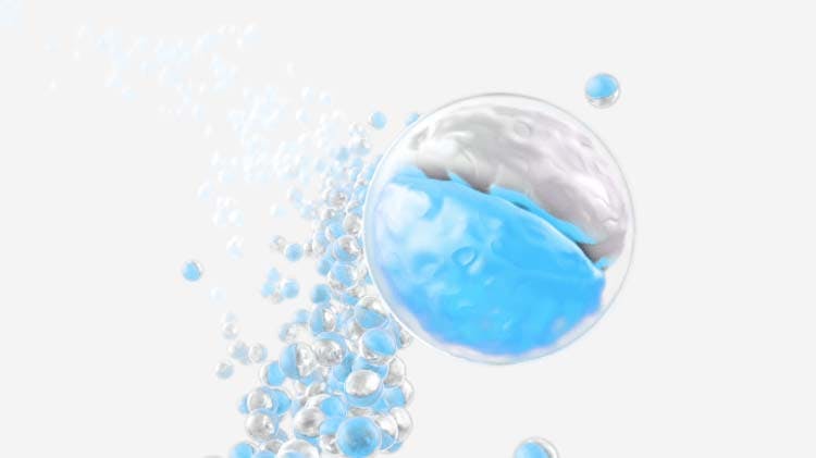 Chlorhexidine dicluconate action science