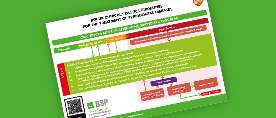 BSP Guidelines Flowchart