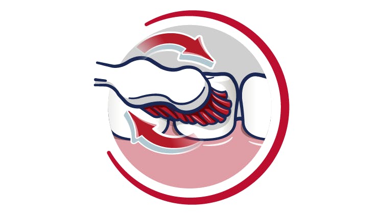 Graphic showing circular toothbrushing motion on teeth and gums