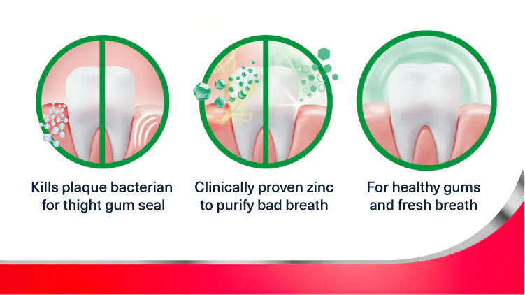 Graphic showing how parodontax Active Gum Repair removes plaque bacteria, tightens the gum seal and helps with teeth and gum health