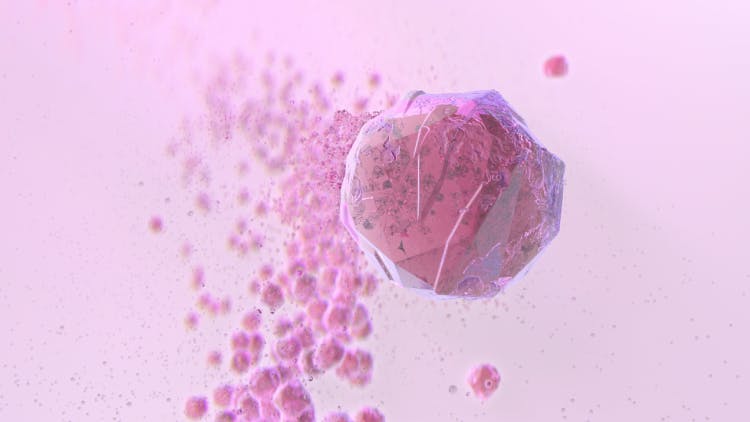 Visual of sodium bicarbonate molecule