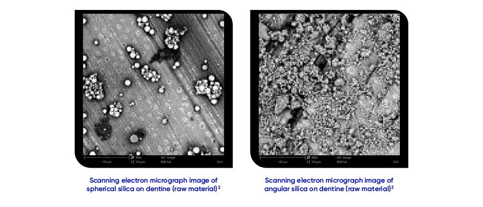 Scanning electron micrograph image of spherical and angular cleaning particles