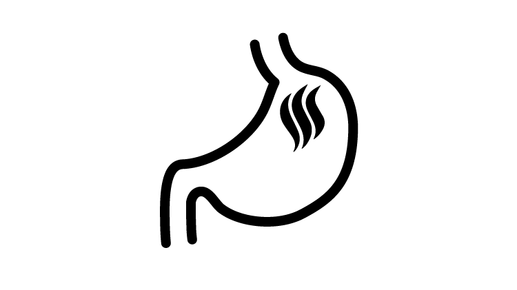 Icon of stomach
