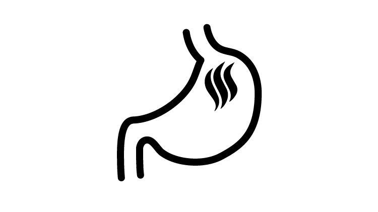 Stomach icon