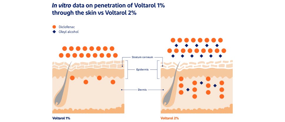 Voltarol skin penetration image