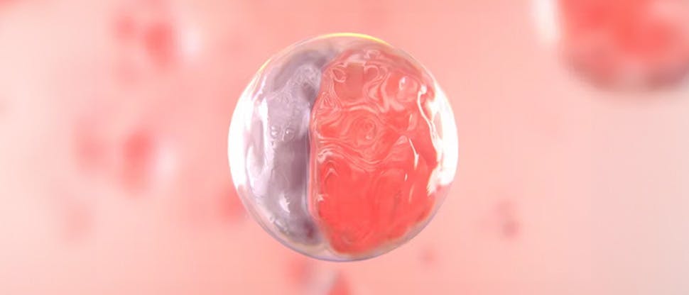 chlorhexidine
