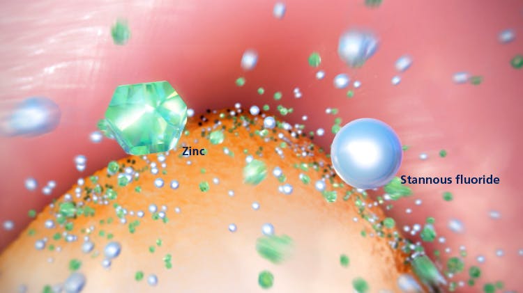 Stannous & Zinc MOA image