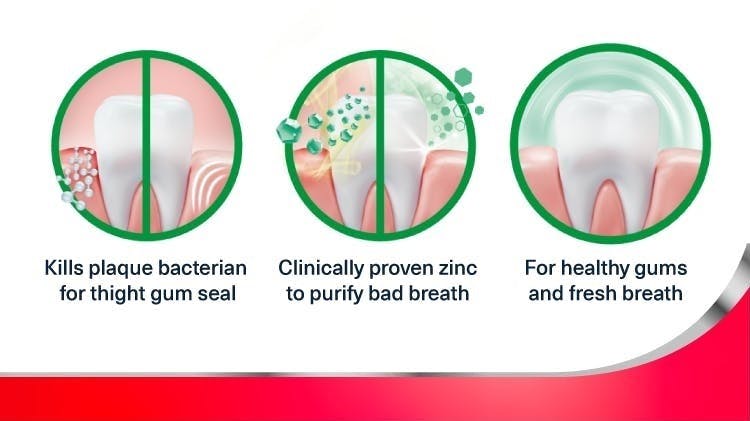 Graphic showing how parodontax Active Gum Repair removes plaque bacteria, tightens the gum seal and helps with teeth and gum health