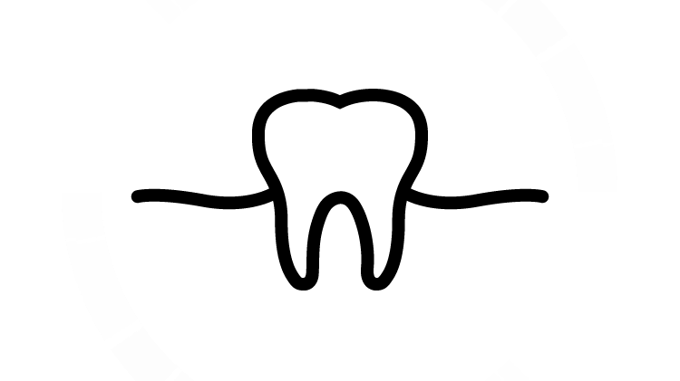 Tooth and gum icon