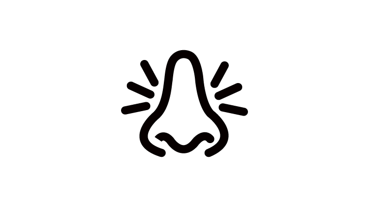 Nasal symptoms icon