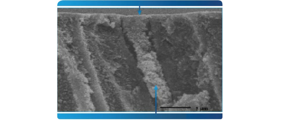 Representative FIB-SEM image of dentine tubules