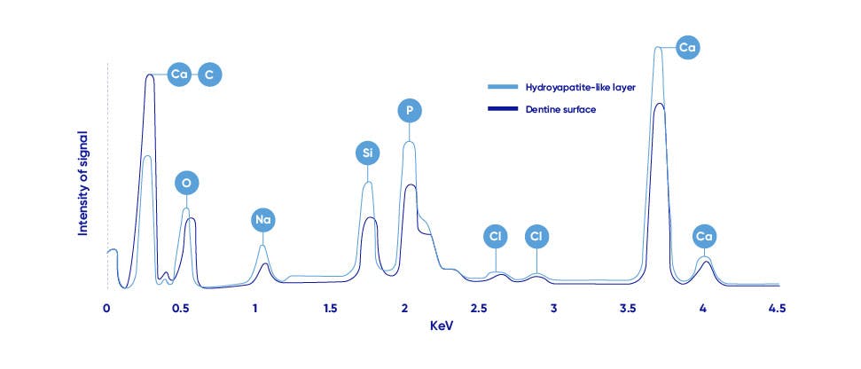 X-ray plots of dentine graph