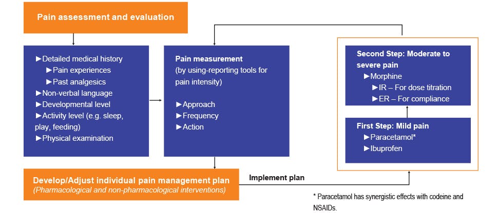 WHO guideline for pain management