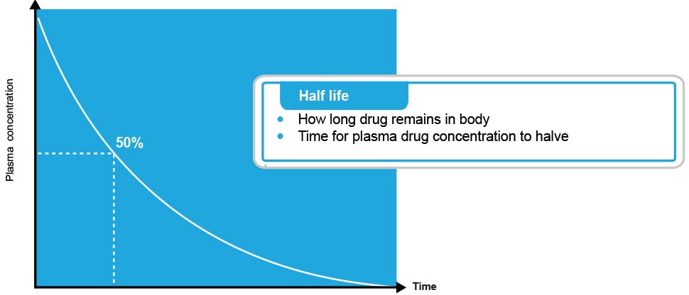 Graph showing the half life of paracetamol