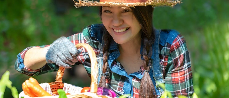 Woman smiling while harvesting vegetables