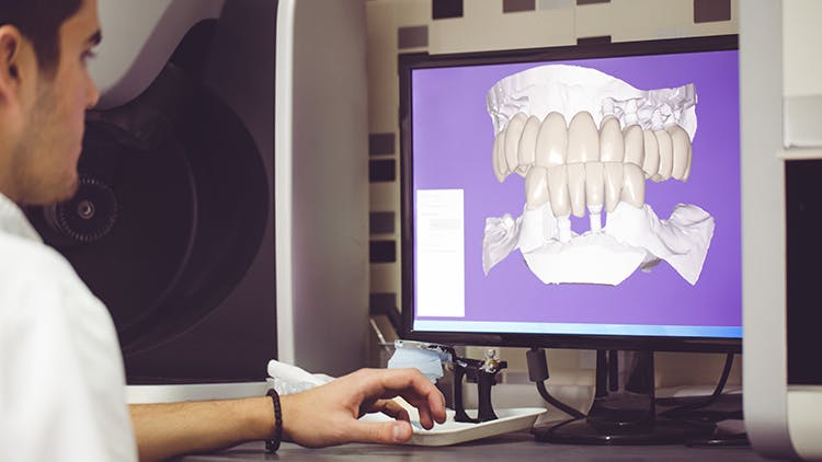 Dentist studies oral anatomy on screen 