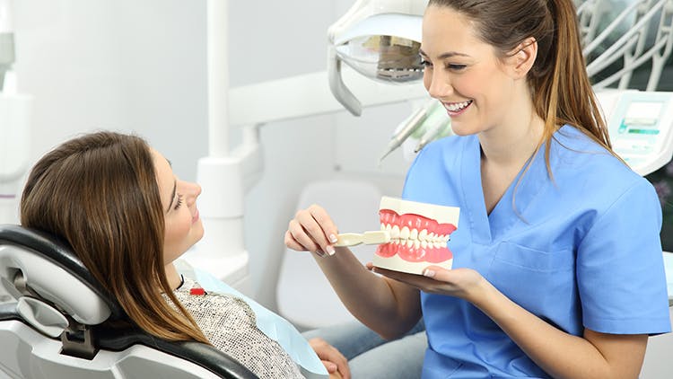 A dentist shows a happy women how to brush with a mouth model. 