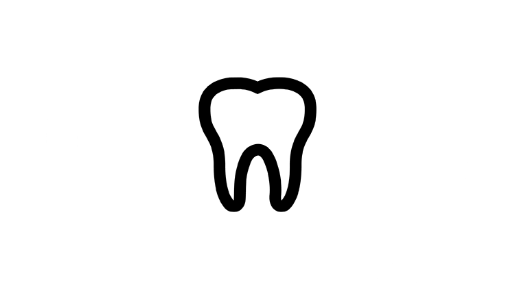 Tooth and gum Icon