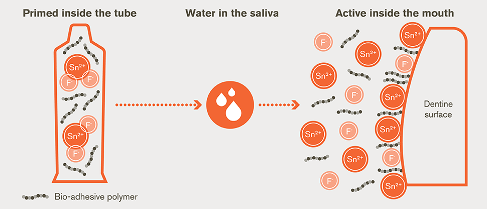 sensodyne mechanism of action