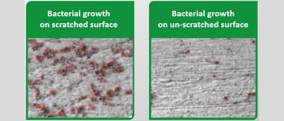 Images showing higher bacterial growth on scratched denture surface compared to unscratched surface