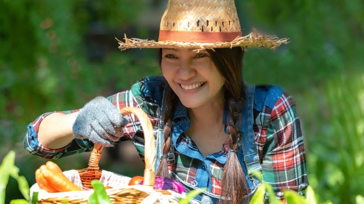 Woman smiling while harvesting vegetables