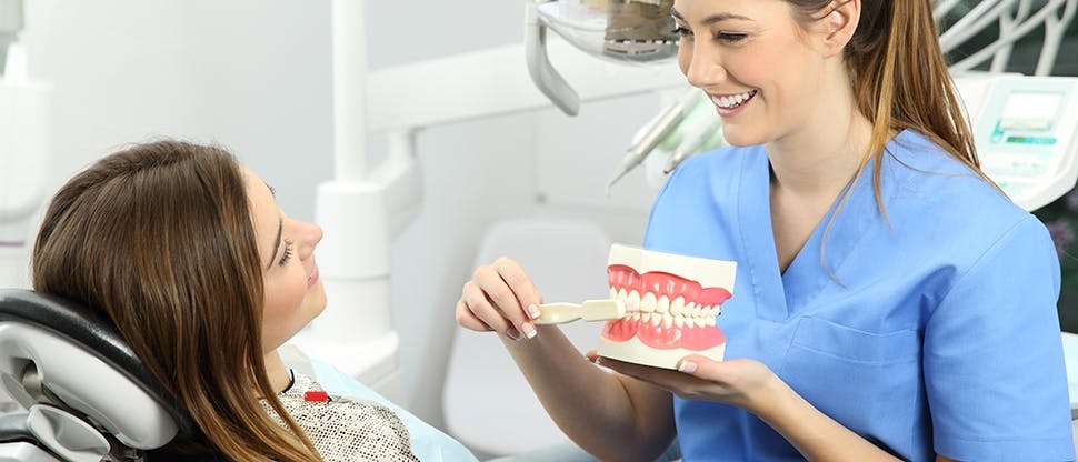 A dentist shows a happy women how to brush with a mouth model.