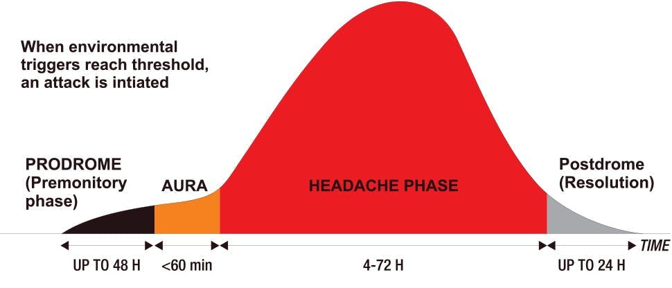 The four phases of migraine