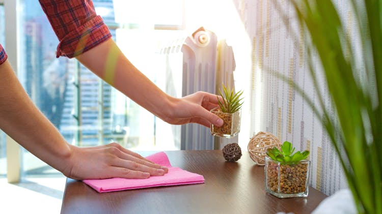 Person cleans their desk with a pink cloth, lifting up potted plants to dust properly